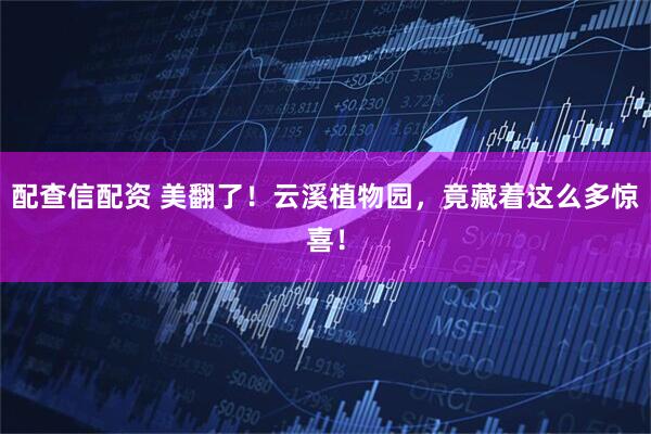 配查信配资 美翻了！云溪植物园，竟藏着这么多惊喜！