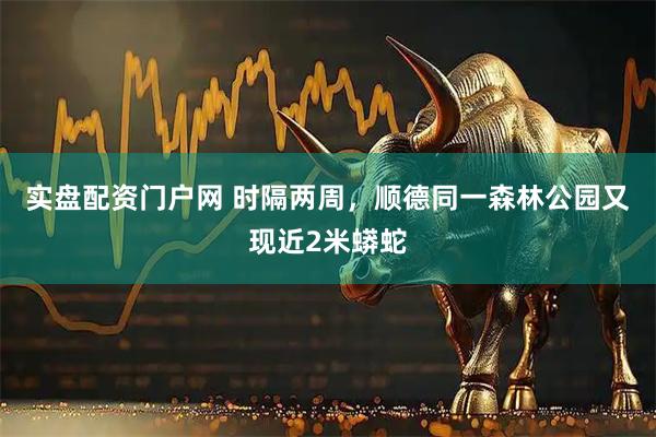 实盘配资门户网 时隔两周，顺德同一森林公园又现近2米蟒蛇