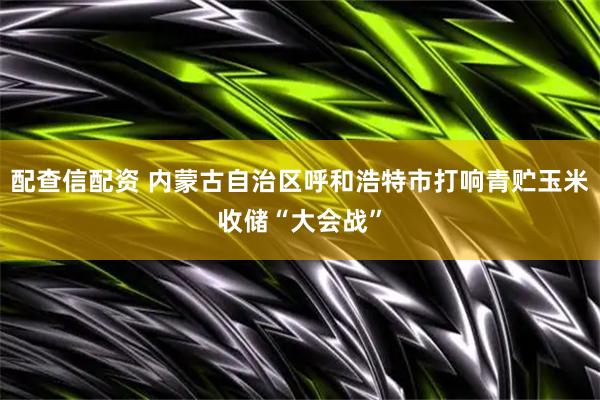 配查信配资 内蒙古自治区呼和浩特市打响青贮玉米收储“大会战”