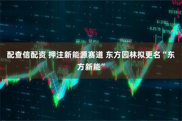 配查信配资 押注新能源赛道 东方园林拟更名“东方新能”